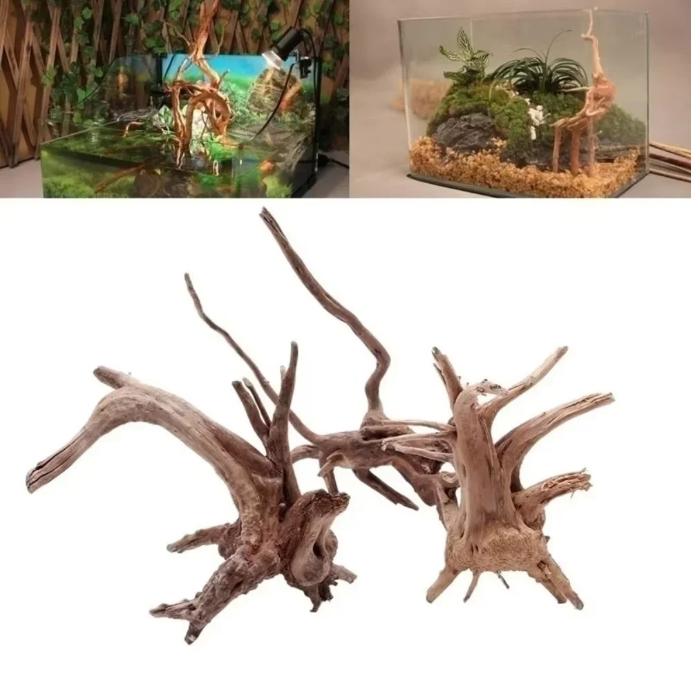Aquarium Fish Fishing - （15-20cm） Natural Driftwood Aquarium Decor -