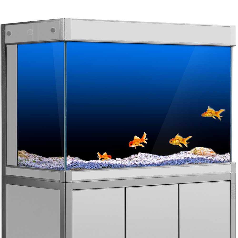 Aquarium Fish Green - Fish Tank Background Sticker Black Green