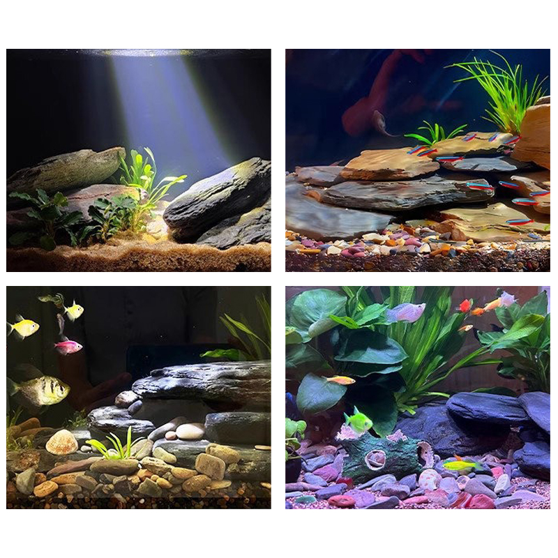 500/1000g Fish Tank Landscape  - Aquarium Fish Bowl 评论和价格