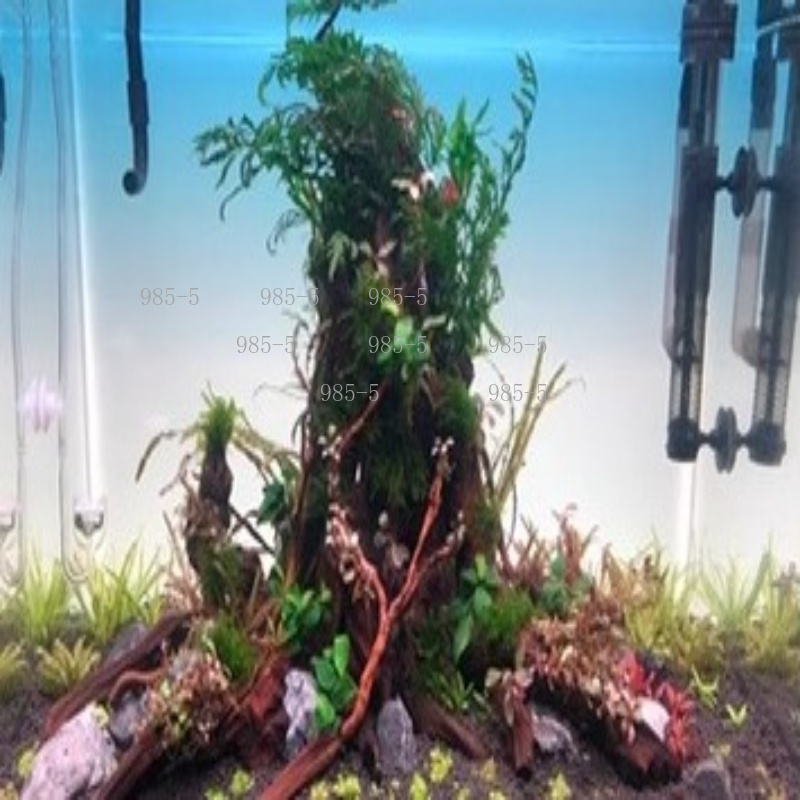 Fish Tank Acrylic Luminous Bac - Aquarium Fish Rainbow 评论和价格