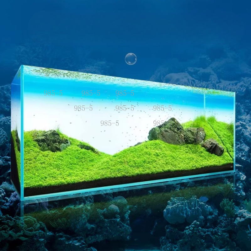 Fish Tank Acrylic Luminous Bac - Aquarium Fish Rainbow 评论和价格