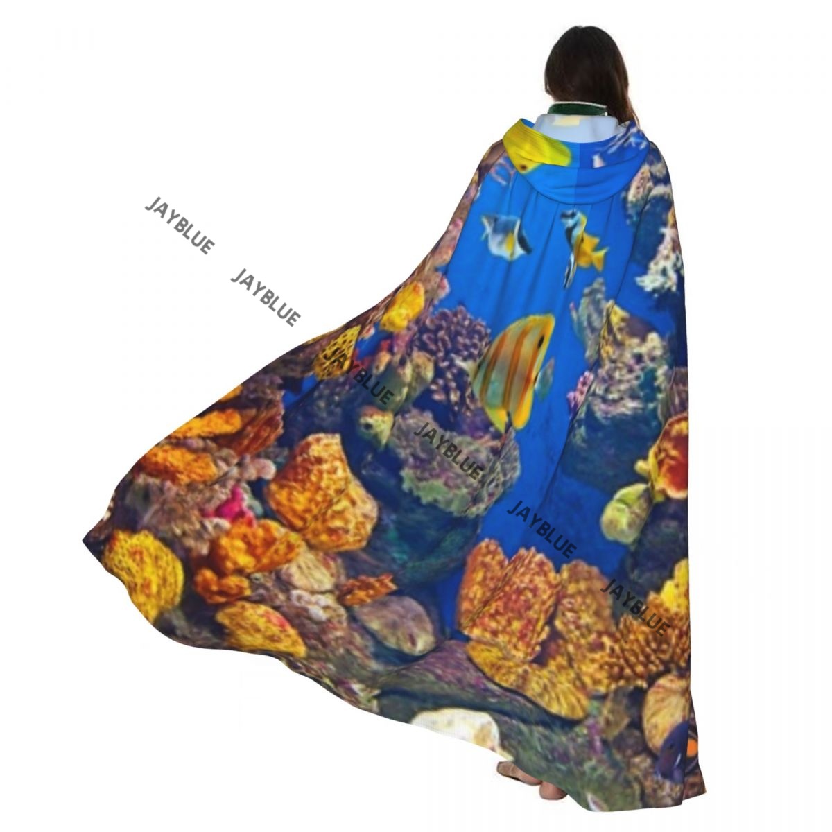 Unisex Adult Colorful Aquarium - Aquarium Queen Fish 评论和价格