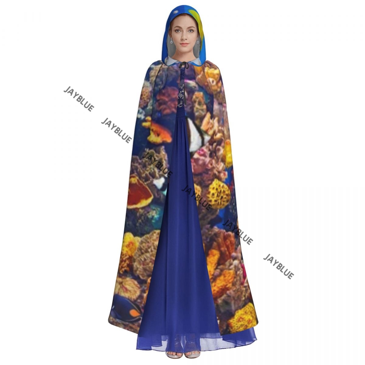 Unisex Adult Colorful Aquarium - Aquarium Queen Fish 评论和价格