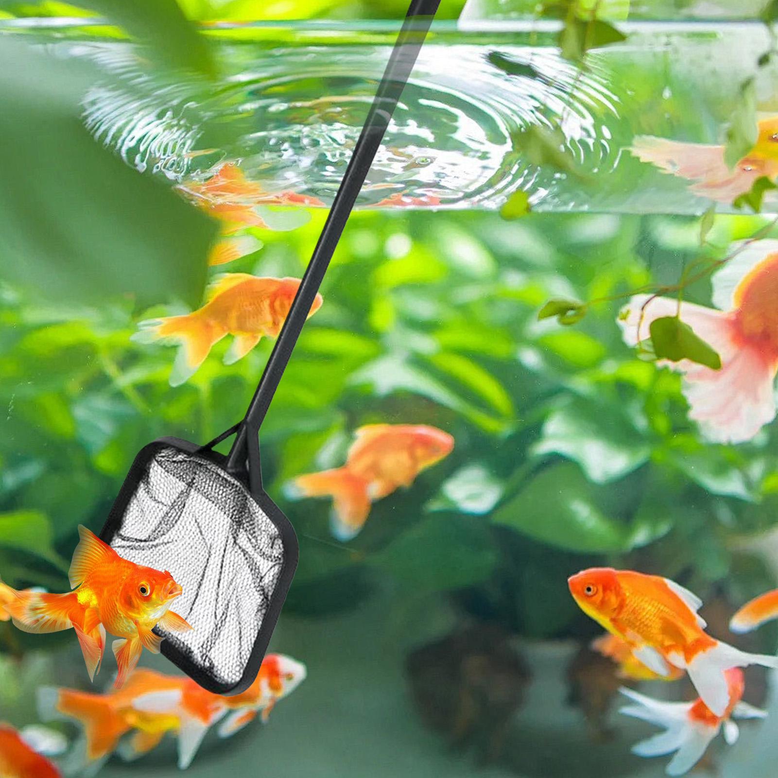 Pool Nets for Cleaning Portabl - Aquarium Fish Breeding 评论和价格