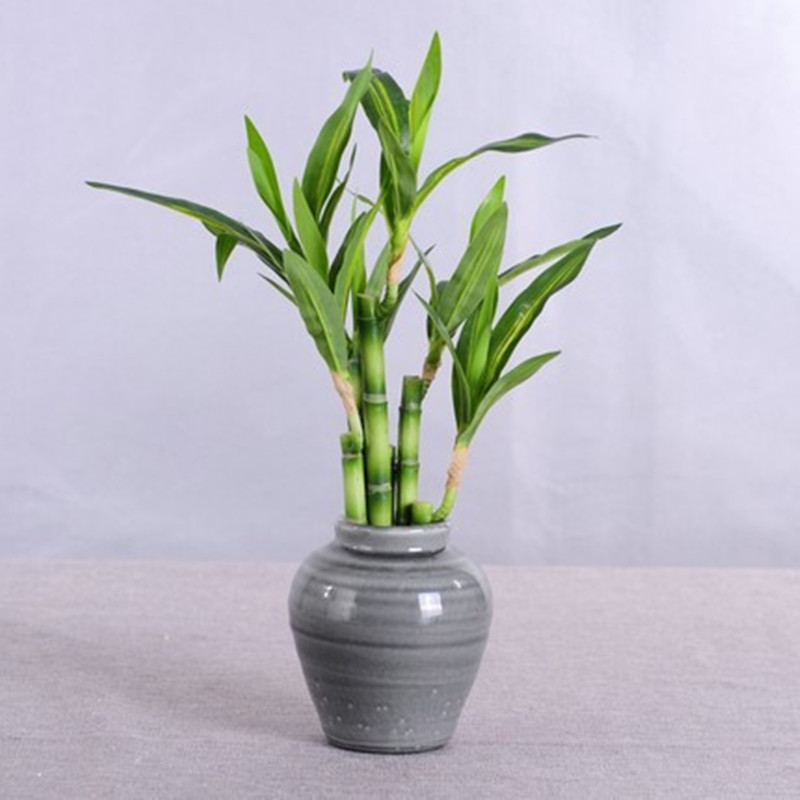 New 40cm Artificial Lucky Bamb - Aquarium Fish Fishing 评论和价格