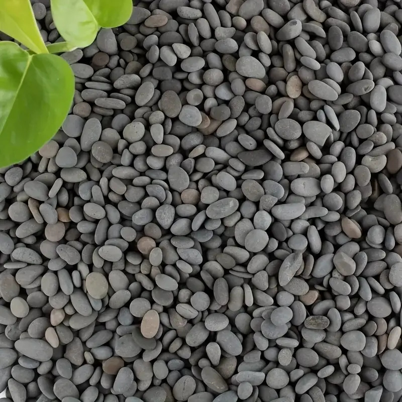 20Pcs Natural River Rocks Smoo - Aquarium Fish Fishing 评论和价格