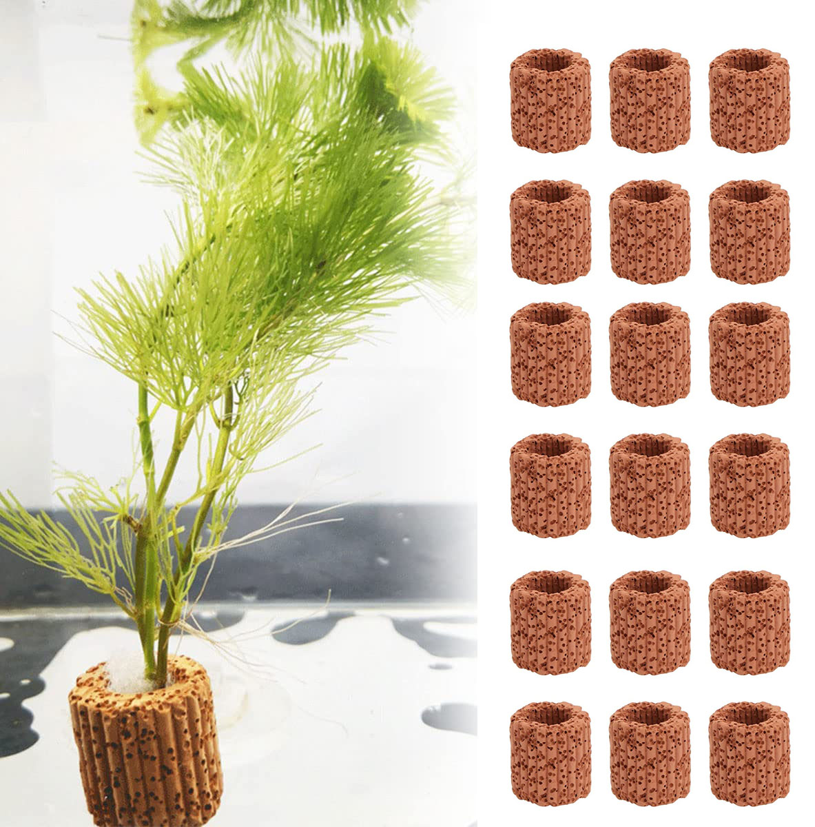 10/20Pcs Aquatic Water Plant F - Aquarium Fish Tank Price 评论和价格
