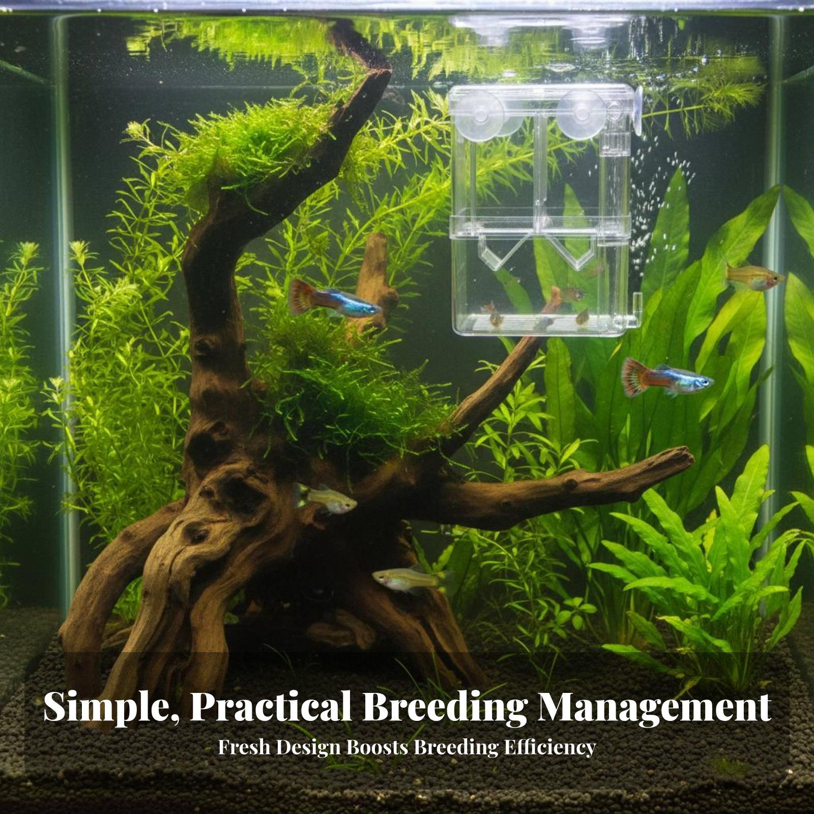 Double Layer Aquarium Breeding - Aquarium Fish Breeding 评论和价格