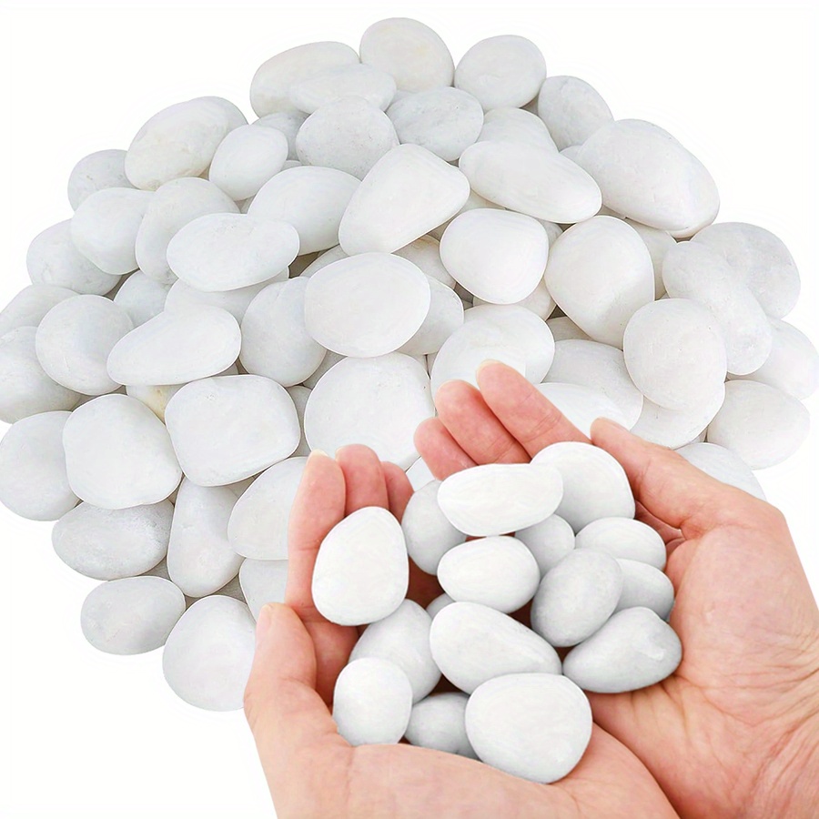 200/400g White High Polished N - Aquarium Fish Fishing 评论和价格