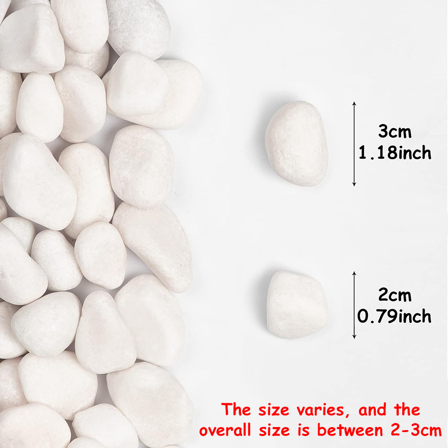 200/400g White High Polished N - Aquarium Fish Fishing 评论和价格