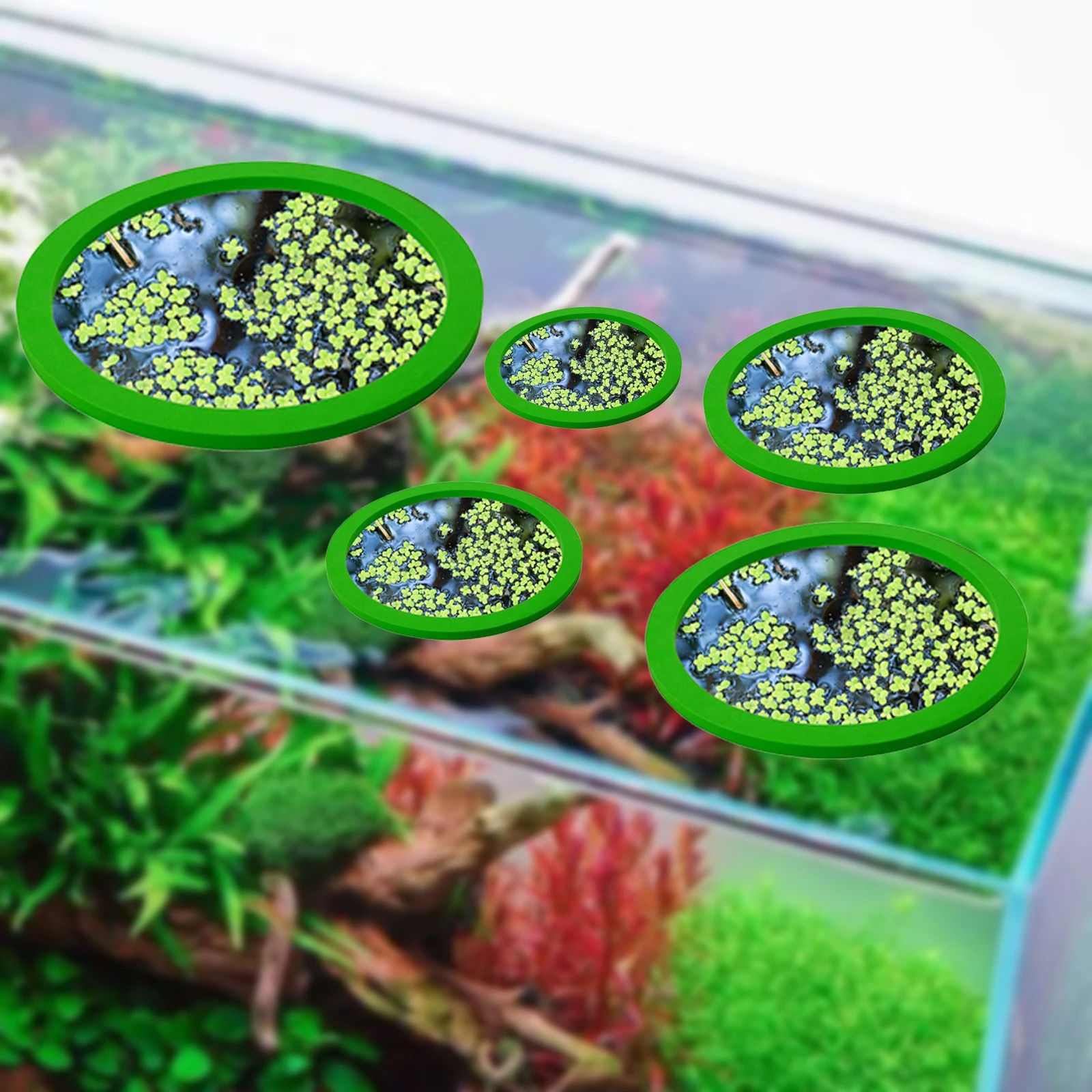 5Pcs EVA Fish Feeding Ring Aqu - Aquarium Fish Breeding 评论和价格