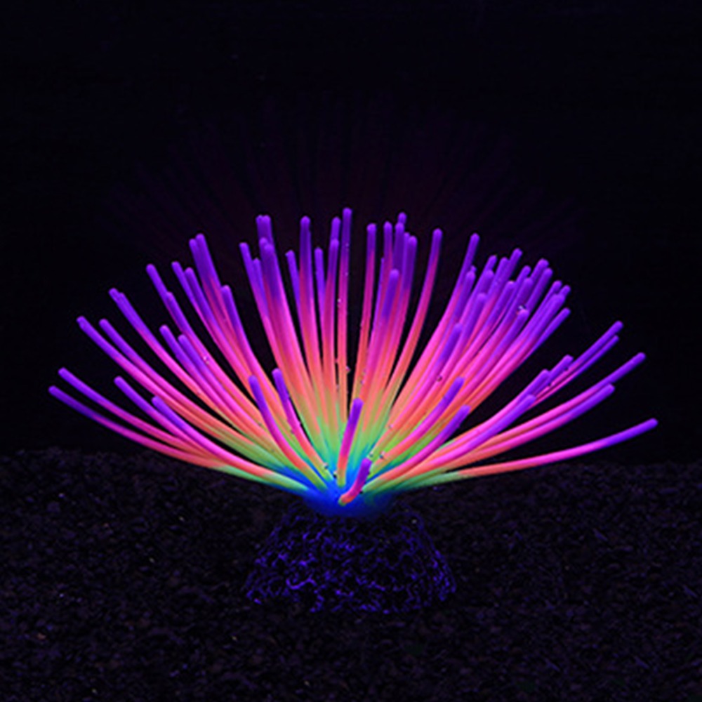 Colorful Aquarium Silicone Cor - Aquarium Fish Rainbow 评论和价格