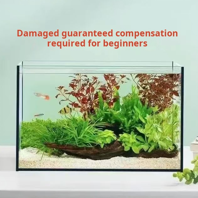 Ultra Clear Large Rectangle Gl - Aquarium Fish Keeping 评论和价格