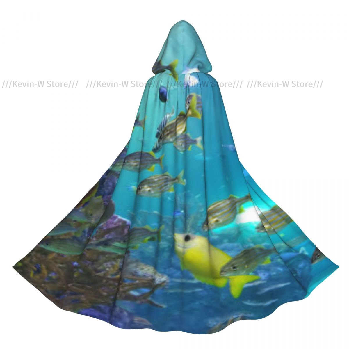 Fish Inside Aquarium Hooded Cl - Aquarium Queen Fish 评论和价格