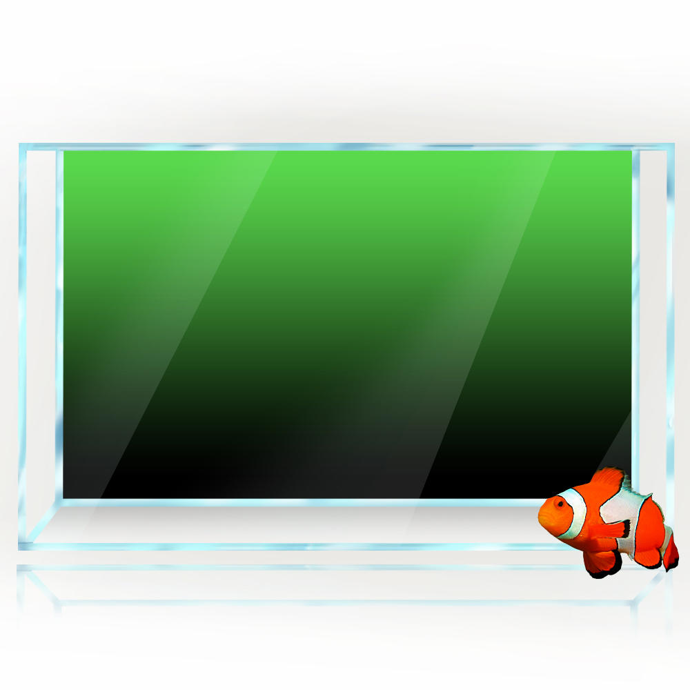 Fish Tank Background Sticker B - Aquarium Fish Green 评论和价格