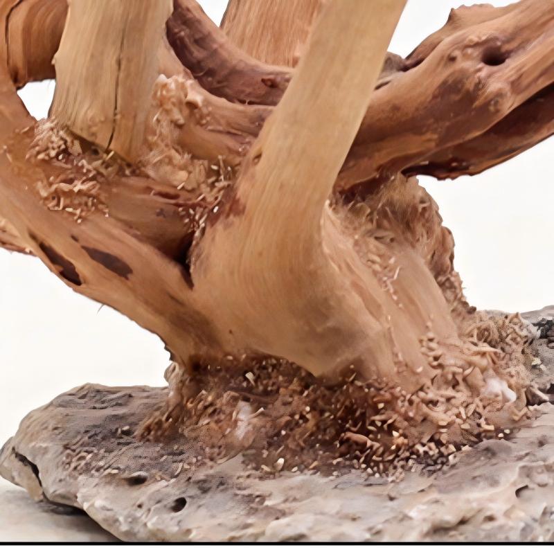 1PC Aquarium Landscaping Wood  - Aquarium Fish Tank Price 评论和价格