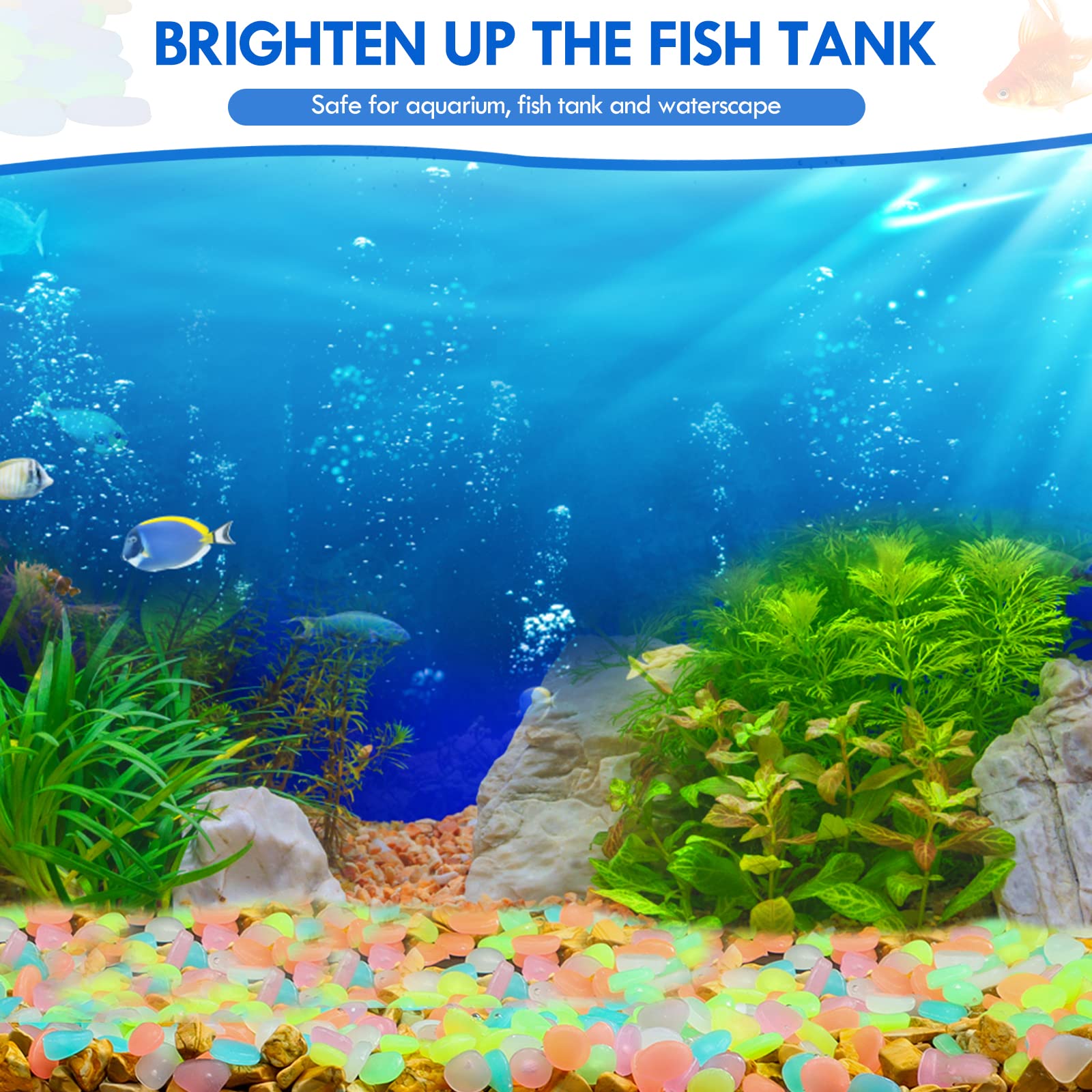 100Pcs Glow in the Dark Garden - Aquarium Fish Breeding 评论和价格