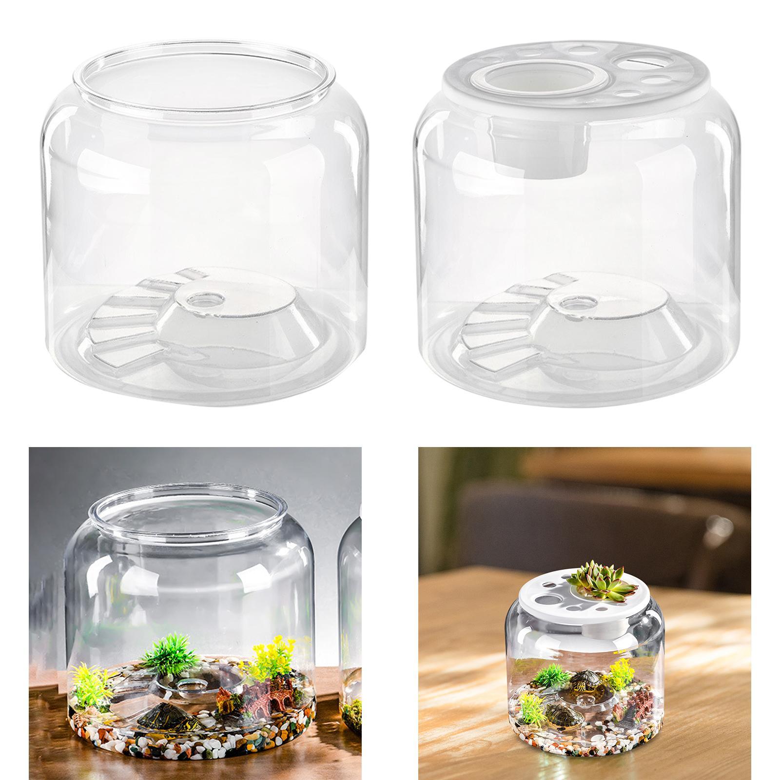 Turtle Tank Tabletop Reptile H - Draw Fish Aquarium 评论和价格