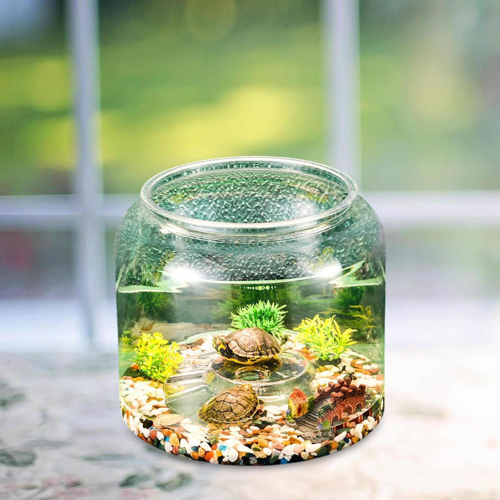 Turtle Tank Tabletop Reptile H - Draw Fish Aquarium 评论和价格