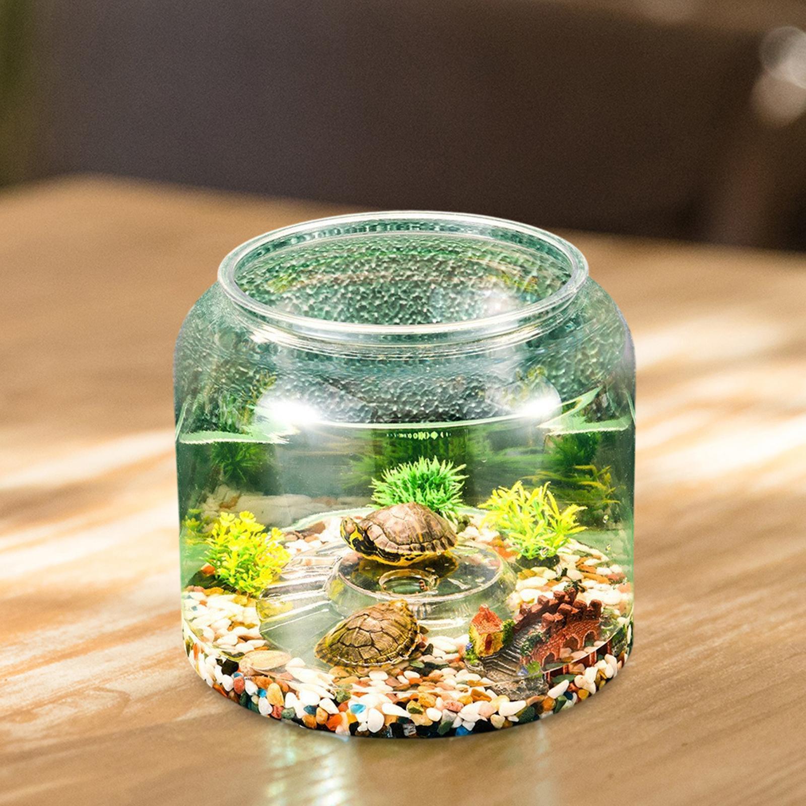 Turtle Tank Tabletop Reptile H - Draw Fish Aquarium 评论和价格