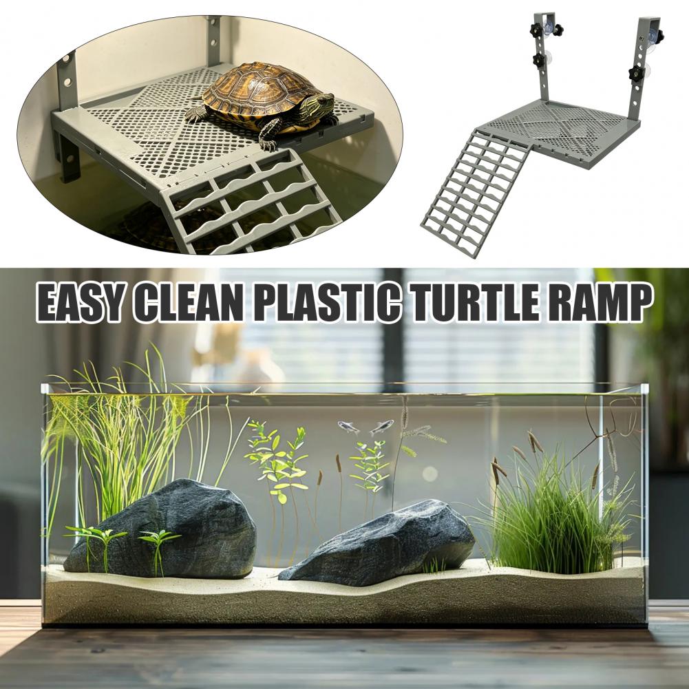 Aquarium Decoration Solid Form - Aquarium Fish Fishing 评论和价格