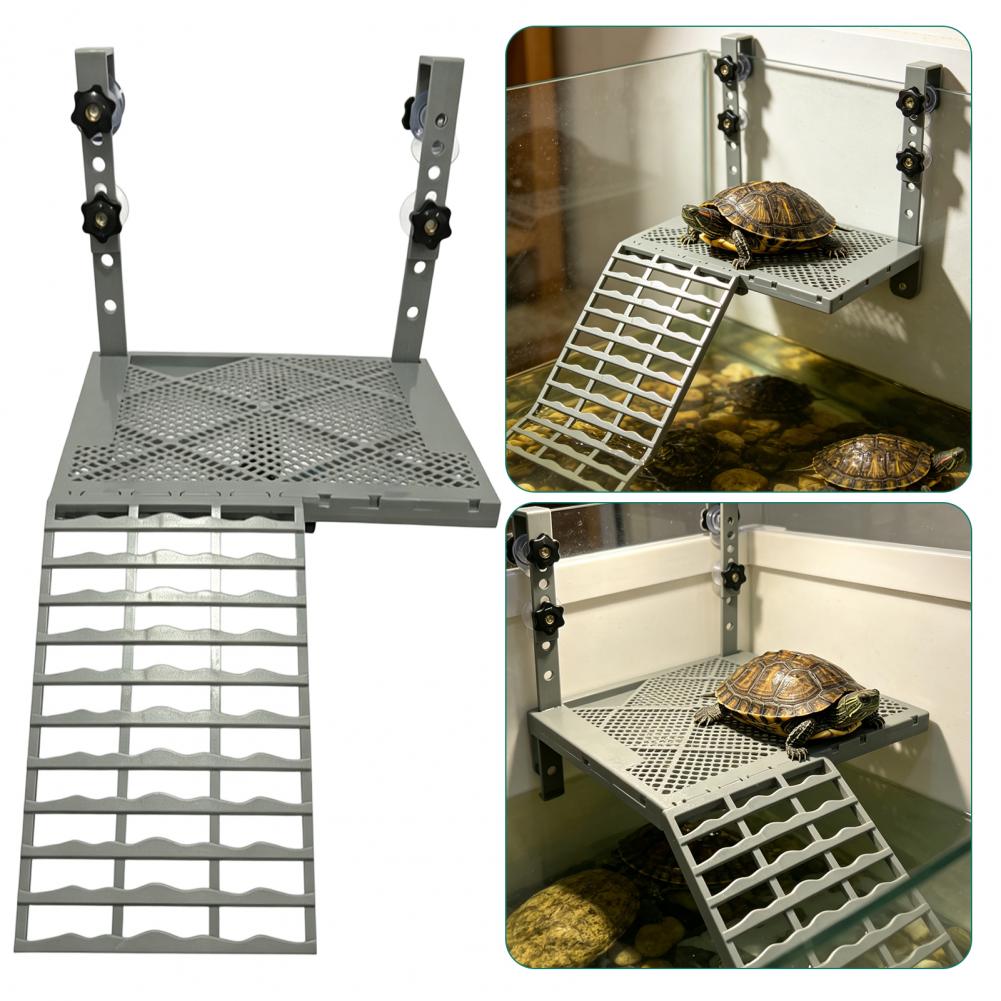 Aquarium Decoration Solid Form - Aquarium Fish Fishing 评论和价格