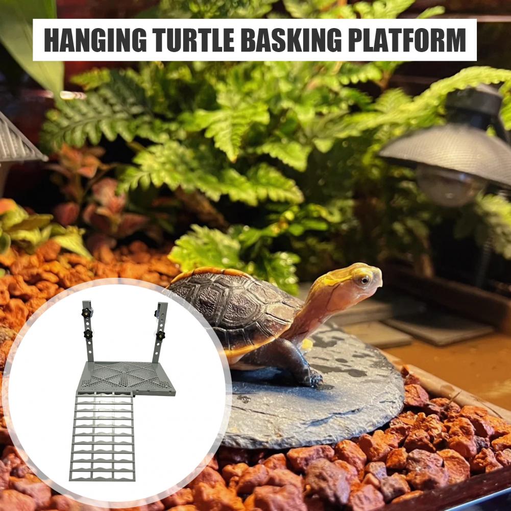 Aquarium Decoration Solid Form - Aquarium Fish Fishing 评论和价格