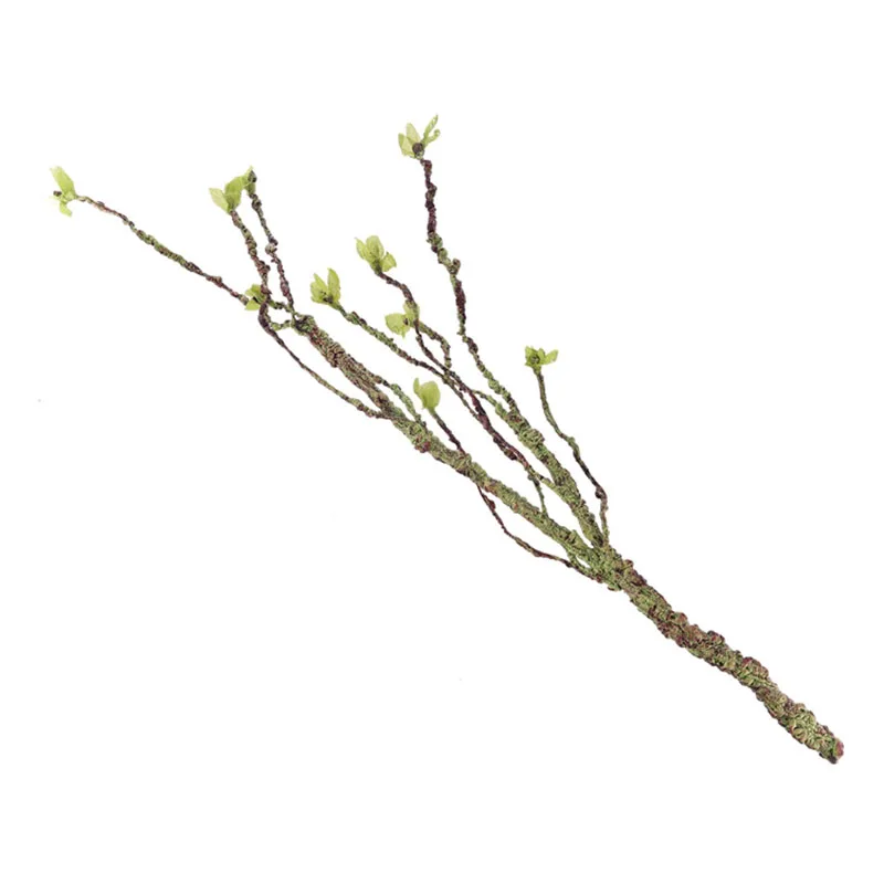 Vines Decor Climbing Branches  - Aquarium Fish Fishing 评论和价格
