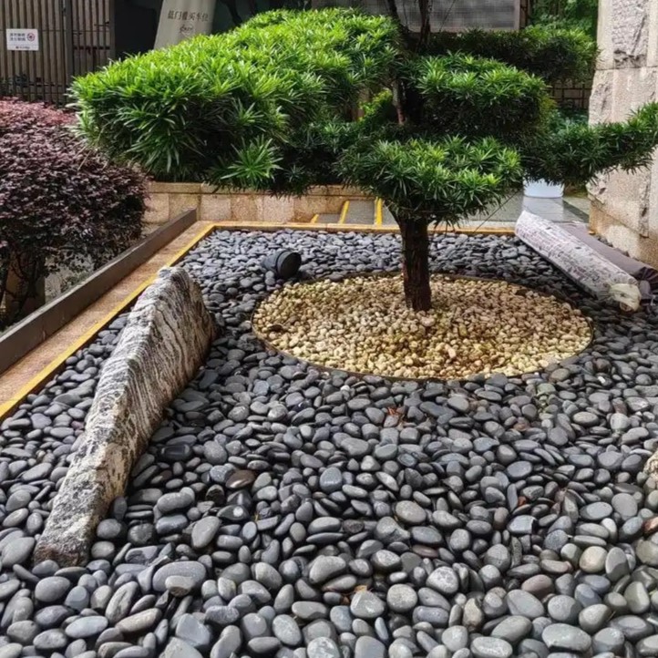 High Quality Natural Rain Flow - Aquarium Fish Rainbow 评论和价格