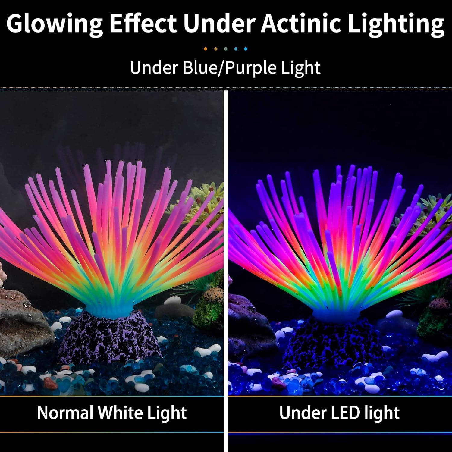 Aquarium Imitative Rainbow Sea - Aquarium Fish Rainbow 评论和价格