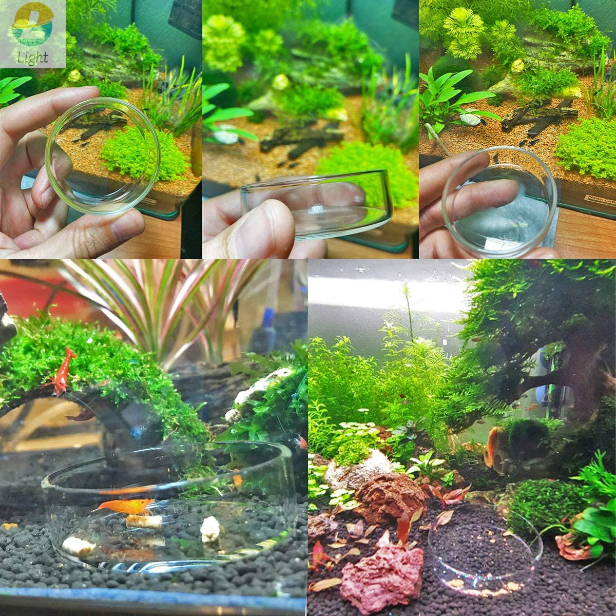 Aquarium Feeder Bowls Dish Cle - Aquarium Fish Keeping 评论和价格