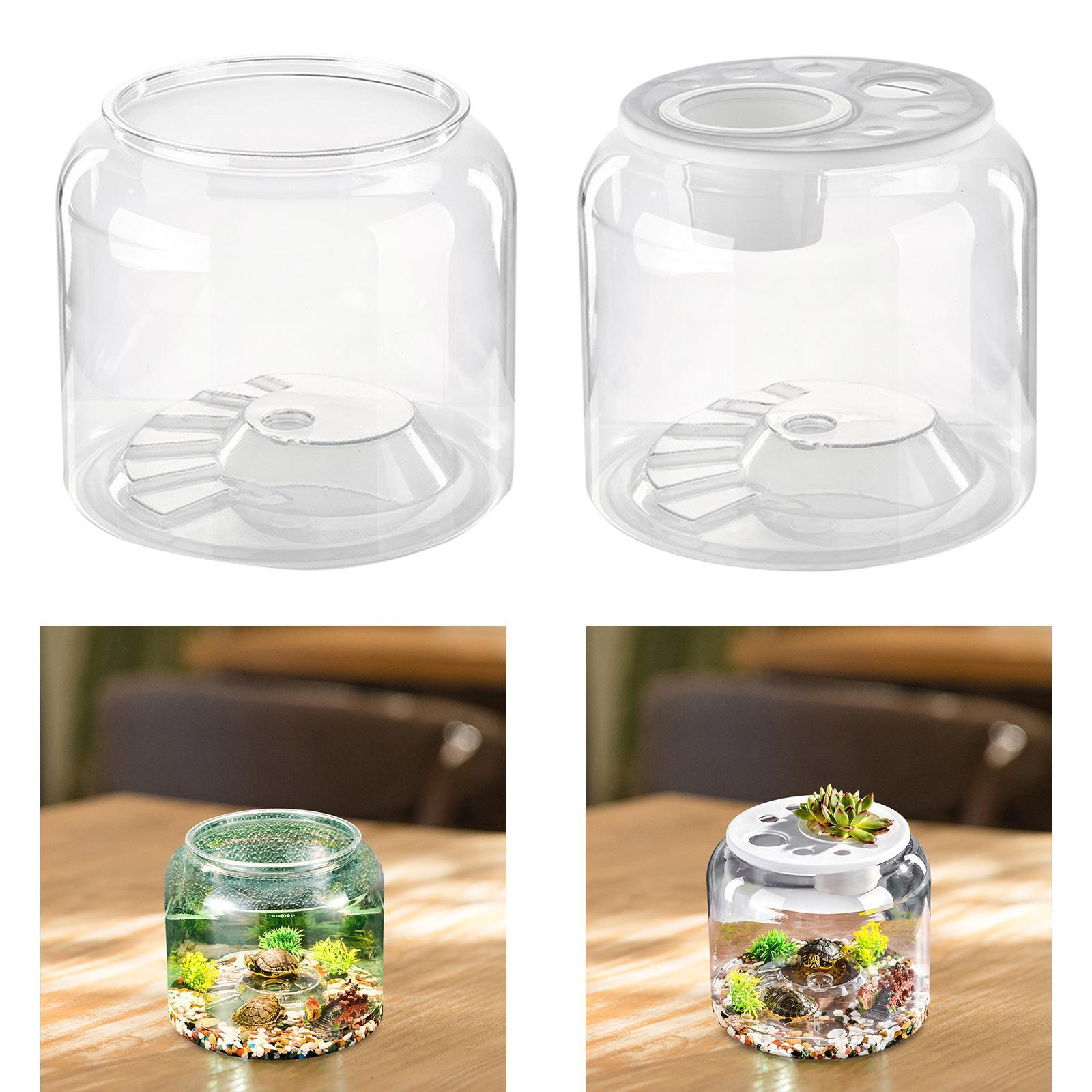 Turtle Container High Capacity - Draw Fish Aquarium 评论和价格