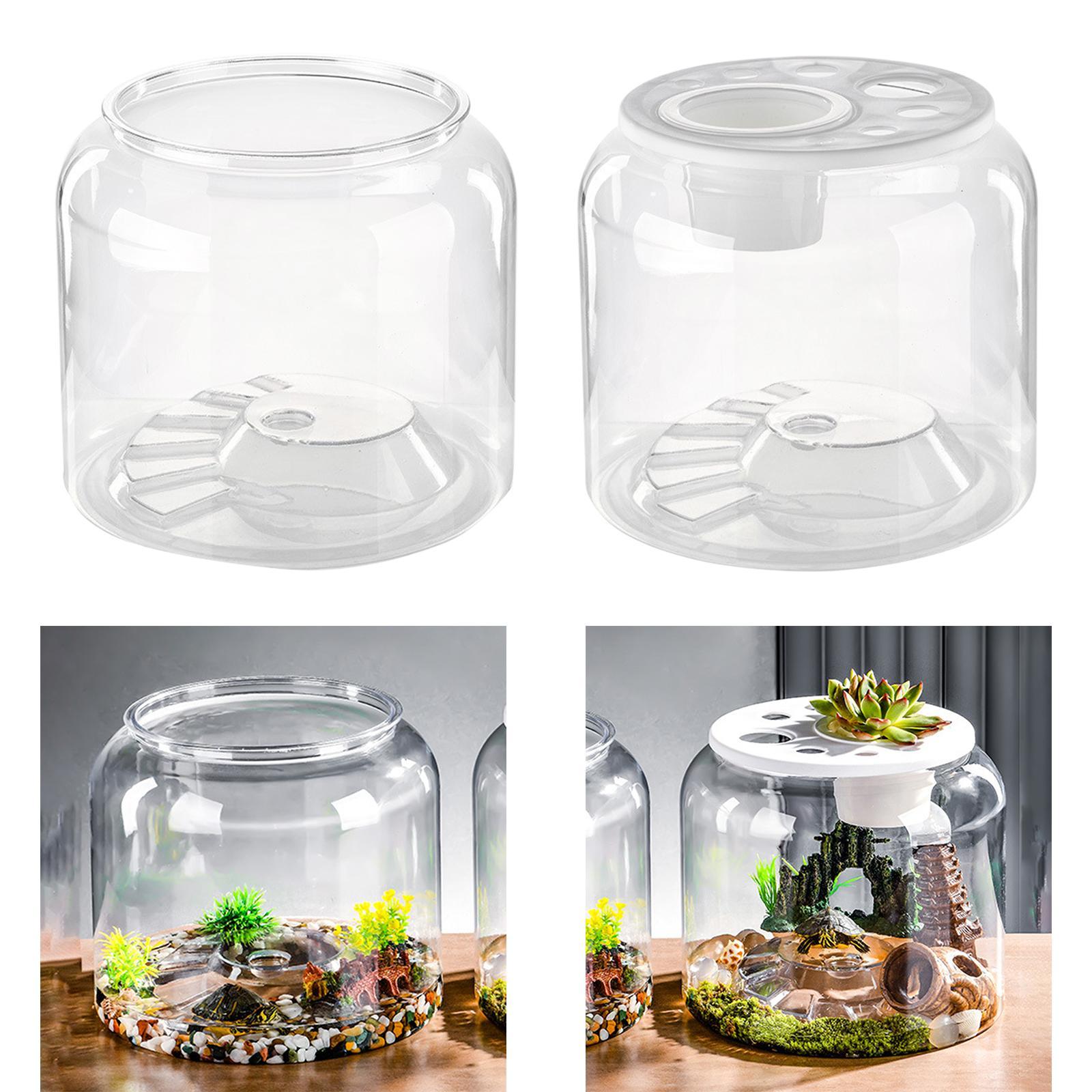 Turtle Container High Capacity - Draw Fish Aquarium 评论和价格